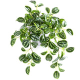 1 x RAW Customer Returns SOGUYI artificial plant 38cm artificial plants artificial plant decoration modern living room balcony bedroom bathroom room table decoration 1 piece  - RRP €21.48