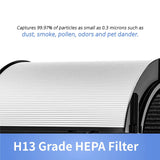 1 x RAW Customer Returns 2-in-1 HEPA Carbon replacement filter compatible with Dyson HP04 TP04 DP04 PH04 HP09 TP09 HP07 TP07 PH03 PH01, H13 Grade True HEPA replacement filter - RRP €40.92