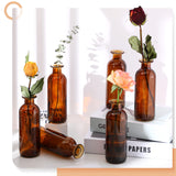 1 x RAW Customer Returns Patelai Amber Glass Vase Bud Vases for Wedding Table Decoration Apothecary Jars Decorative Antique High Class Flower Vase for Centerpieces Wedding Bridal, 6.3 x 2.2 Inches Pack of 6  - RRP €30.24