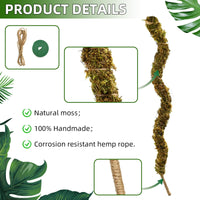 2 x RAW Customer Returns Pack of 2 60 cm bendable moss sticks, plant sticks, coconut moss stick for monstera plants, climbing aids for climbing plants, natural plant support - RRP €36.28