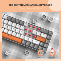 1 x RAW Customer Returns YINDIAO T8 60 Gaming Keyboard,68 Keys,Compact Wired Mini Mechanical Keyboard with 18 Chroma RGB Backlit,Red Switch,USB-C Coiled Keyboard Cable,for PC,PS4-Light Gray - RRP €59.99