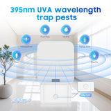 1 x RAW Customer Returns Electric Insect Killer, Fly Trap Indoor Plug in 2 Pieces Mosquito Repellent for Home Use with Sticky Pad Insect Catcher for Fruit Flies, Mosquitoes, Gnats, Moths, White - RRP €26.21