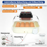 1 x RAW Customer Returns Hethya incubator fully automatic hatchery fully automatic incubator chickens for 12-16 eggs with humidity control, automatic egg turner and egg lamp - RRP €69.8