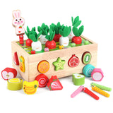 1 x Brand New KMTJT Montessori 2 Years Wooden Baby Toy from 1 year old Sorting Game Montessori Wooden Puzzle Carrot Harvest Easter Gift of Learning Toys for Toddlers Ages 2 to 3 - RRP €26.99