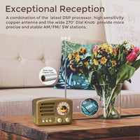 1 x RAW Customer Returns PRUNUS J-160 Am FM SW Transistors Vintage Retro Bluetooth Radio, Small Rechargeable Portable Radio with 1800mAh Battery, USB TF AUX Player, Multiband Radio with Excellent Reception Gold  - RRP €29.99