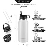 2 x RAW Customer Returns LINFELDT 3 Lid Drinking Bottle Stainless Steel 1L Insulated CO2 2X Straw - BPA Free - Leak-proof Insulated Bottle 1 Liter - 24H COLD 12H HOT - Outdoor Sport Fitness Camping Hiking Office White - RRP €40.32