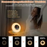 1 x RAW Customer Returns WADEO daylight alarm clock, sunrise sunset simulation alarm clock with 7-color light and FM radio, wake up light alarm clock with 12 nature sounds, touch control and snooze function - RRP €38.66