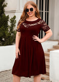 1 x RAW Customer Returns Women s Plus Size Dress Casual Dress A Line Swing Mini Dress Elegant Skater Dress Party Dress Lace Dress Winred 3XL - RRP €25.2