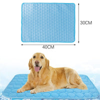 1 x Brand New Dog Cooling Mat, Cooling Mat for Dogs Cats, Pet Cooling Mat, Summer Essentials, for Pets for Small Dogs or Cats, 40 30cm - RRP €7.18