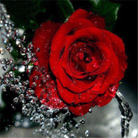 3 x Brand New YSCOLOR Diamond Painting New Full Drill Diamond 5D DIY Diamond Painting Red Rose Flower Embroidery Cross Stitch Rhinestone Mosaic Painting Decor Gift 30X30Cm - RRP €61.2