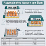 1 x RAW Customer Returns Hethya incubator fully automatic breeding machine fully automatic incubator chickens for 12-16 eggs, incubator chickens with automatic egg turning and automatic water addition - RRP €56.27