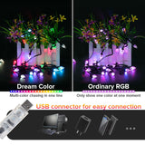 1 x RAW Customer Returns SEZO Color Changing Strawberry Fairy Lights WS2812B IC 10M 50LEDs Waterproof RGB IC Music Sync USB LED Fairy Lights with IR Remote Control for Christmas Festival Party Decoration - RRP €21.17