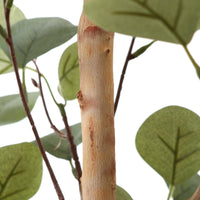 1 x RAW Customer Returns Kazeila Artificial Eucalyptus Plant 150 cm Artificial Plants Large Decorative Plants with Natural Stems for Home Decor Room Decoration Bedroom Decoration 1 Pack  - RRP €60.44