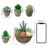 2 x RAW Customer Returns Vasemouh Artificial Plants Succulents Set of 5, Realistic Imitation Succulent Plant Pots for Home Office Desk Decoration - RRP €44.98