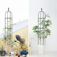 1 x RAW Customer Returns Garden trellis 176 cm tomato cage plant support obelisk climbing frame trellis climbing aid, plants, tomatoes, roses for all climbing plants 2 pieces - RRP €39.99