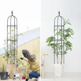 1 x RAW Customer Returns Garden trellis 176 cm tomato cage plant support obelisk climbing frame trellis climbing aid, plants, tomatoes, roses for all climbing plants 2 pieces - RRP €39.99