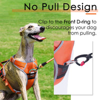 1 x RAW Customer Returns ThinkPet No-Pull Dog Harness, Breathable Chest Harness for Small Medium Large Dogs, Adjustable Soft Running Harnesses Safe Control Padded Reflective Safety Harness - RRP €27.17