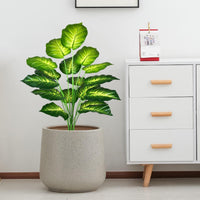 5 x Brand New AIVORIUY Artificial Plants Large Areca Artificial Palm in Pot Plastic Artificial Plant Tropical Palm with Leaves Green Fake Plant for Bedroom Office Garden Wedding Decor 77cm White  - RRP €175.55