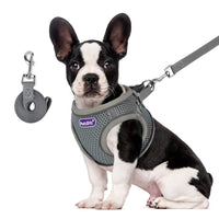 2 x Brand New PETLOFT Small Dog Harness, No Traction Small Dog Harness with Leash Intervene Harness for Medium and Small Dogs Without Choking Grey, S  - RRP €36.0