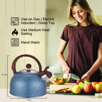 1 x RAW Customer Returns Webao Tea Kettle 2.5 Liter Stainless Steel Induction Kettle Tea Maker with Whistle for Tea Coffee, Starry Blue - RRP €27.98