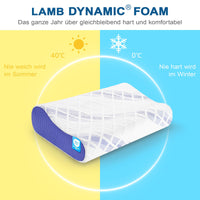 5 x RAW Customer Returns LAMB Orthopedic sleeping pillow made of ventilation lat rale, height-adjustable memory foam neck support pillow, side sleeper pillow, ergonomic pillow, anti-snoring pillow - RRP €143.65