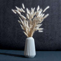 1 x RAW Customer Returns 120 x Dried Lagurus Pampas Grass Pampas Decoration Dried Flowers Dried Flower Bouquet Natural Flower Decoration Grasses for Wedding Interior Decoration Bedroom Living Room White  - RRP €12.1