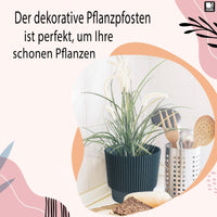 1 x RAW Customer Returns PECZEKO flower pot matt, plant pot made of plastic, decorative pot for large and small plants, set of 2 flower pots, flower pot herb pot 2 pack black, 15 cm - RRP €18.14