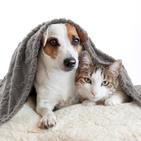 1 x RAW Customer Returns MIULEE Dog Blanket 100x160 cm Cuddly Blanket Dogs Soft Blankets Cats Fleece Blanket Washable Sleeping Pad Suitable for Dogs, Cats, Guinea Pigs and Other Animals Light Gray - RRP €20.49