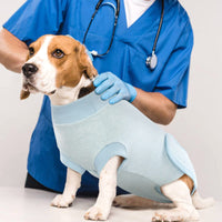 3 x RAW Customer Returns Hjumarayan dog bodysuit after surgery bitch - Breathable surgical bodysuit dog castration bitch Medical bodysuit dog for small medium large dogs, alternative to the annoying neck brace, sky blue M - RRP €68.97