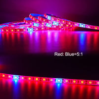 2 x RAW Customer Returns Tesfish LED Plant Grow Strip Light DC 12V IP65 Waterproof Full Spectrum SMD 5050 Red Blue 5 1 String Light for Aquarium Greenhouses Plant - RRP €37.98