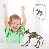 1 x Brand New JamBer Mammuthus primigenius Dinosaur Toy Skeleton Model Jurassic World Archaeological Excavation Dinosaur Kit Children Birthday Party Decoration - RRP €19.2