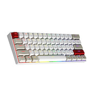 1 x RAW Customer Returns Newmen GM610 Gaming Keyboard Wireless, 60 Percent Mechanical Bluetooth 2.4Ghz With Cable, 61 Keys RGB Lighting Hot Swap Anti Ghosting TKL Mini QWERTY Keyboard for PC Win Mac, Red Switches - RRP €43.36