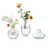 1 x RAW Customer Returns Small vases for table decoration glass - EylKoi 3 pieces set transparent with gold rim mini vase vintage handmade hydroponic glass vase flower vase modern set wedding table decoration, home living room flowers rose - RRP €17.14