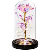 10 x Brand New Airabc Eternal Rose in Glass Gift Roses for Women, Beauty and the Beast Rose Artificial Flowers Rose Gift with LED Light in Glass Dome on Wooden Base for Home Decor Birthday Valentine s Day - RRP €201.6