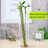 1 x RAW Customer Returns TSKDKIT Cylinder Clear Glass Flower Vase, 40cm Tall Glass Flower Vase, Modern Indoor Design Home Decoration for Rose Pampas Grass Wedding Decoration - RRP €32.86