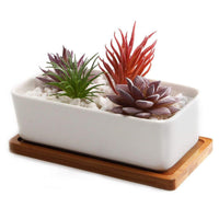 1 x RAW Customer Returns T4U Plant Pots, 16.5cm Ceramic Flower Pot with Tray, Planter for Plant Rectangle Succulent Grass Cactus, Garden Indoor Decoration - RRP €14.68