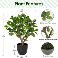 1 x RAW Customer Returns Briful 43CM Artificial Plant Like Real Artificial Ficus Plants in Black Pot Decorative Plant for Windowsill Living Room Bathroom Decoration - RRP €29.23