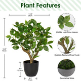 1 x RAW Customer Returns Briful 43CM Artificial Plant Like Real Artificial Ficus Plants in Black Pot Decorative Plant for Windowsill Living Room Bathroom Decoration - RRP €29.23