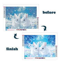 1 x Brand New JAHEMU DIY 5D Diamond Painting Rabbit Crystal Rhinestone Embroidery Pictures Art Craft for Home Wall Decor - RRP €11.09