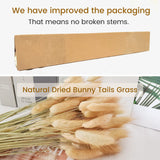 1 x RAW Customer Returns Natural Dried Lagurus ovatus 100pcs Boho Home Decor Bouquet Dried Bunny Tails Pampas for Dried Flower Arrangements Wedding Bathroom Home Decoration - RRP €18.29