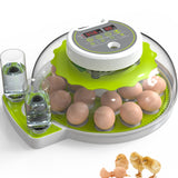 1 x RAW Customer Returns DETODDA fully automatic incubator, incubator for chickens with LED lighting, fully automatic incubator with temperature and humidity control, with automatic egg turner - green 18 eggs - RRP €93.77