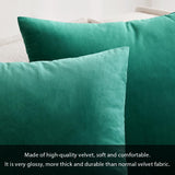 1 x RAW Customer Returns MIULEE Set of 2 VELVET Cushion Covers Pillow Case Decorative Throw Pillows Sofa Cushions Lumbar Cushions Throw Pillow Cover with Hidden Zipper Sofa Bedroom 12x20 Inch 30x50 cm Malachite Green - RRP €13.99