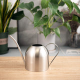 1 x RAW Customer Returns IMEEA 1L watering can, brushed stainless steel flower watering can with long spout, plant watering can, irrigation for indoor plants, bonsai in the office, home silver  - RRP €26.21