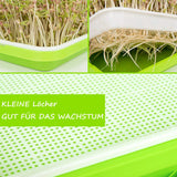 6 x Brand New Voarge 5pcs Seed Sprouter Tray Sprouting Wheat Seedling Planter Hydroponic Durable for Garden Home Office Green White - RRP €136.8