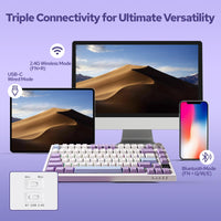 1 x RAW Customer Returns EPOMAKER Ajazz AK820 Pro 75 Gasket Wireless Bluetooth USB-C Mechanical Keyboard, RGB Lighting, with TFT Screen and Soundproof Foam for Mac Win PC White Purple, Ajazz Flying Fish Switch  - RRP €81.62