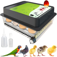 1 x RAW Customer Returns Okk bi OBI-36 Automatic chicken egg incubator for chickens, ducks and other birds NEW 2024 36 eggs Automatic turning, temperature control and humidity display 5 YEAR WARRANTY - RRP €99.97