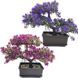 1 x RAW Customer Returns Fycooler Bonsai Artificial Plant Artificial Tree - Japanese Lifelike - Plastic Artificial Plant for Office Windowsill Yard Table Decoration Decoration-2Pcs - RRP €18.98