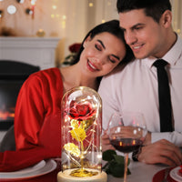 1 x RAW Customer Returns ADAZ Gifts for Women, Eternal Rose in Glass with LED Light, Mother s Day Gifts for Mom Beauty and the Beast Rose Gift for Girlfriend Wife on Anniversary Christmas Valentine s Day - RRP €25.2