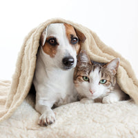 1 x RAW Customer Returns MIULEE Dog Blanket 100x160 cm Cuddly Blanket Dogs Soft Blankets Cats Fleece Blanket Washable Sleeping Pad Suitable for Dogs, Cats, Guinea Pigs and Other Animals Beige - RRP €18.14