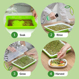 1 x RAW Customer Returns KAHEIGN 6Pcs Sprouting Trays, Seed Sprouter Tray 32cm x 26cm Sprouting Tray with Lid for Large Seeds Germination Tray Germination Box for Growing Mung Beans Alfalfa Wheatgrass - RRP €27.13